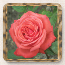 Red Rose Floral Coaster