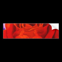 Red Rose Flower Painting Art - Multi bumper stickers