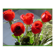 Red Rose Group Postcard