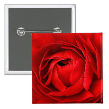 RED ROSE PINBACK BUTTON