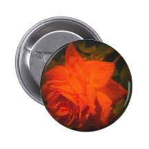 Red Rose Pinback Button