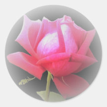 Red Rose Sticker