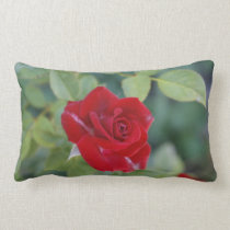 Red Rose Throw Pillow pillows