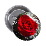 Red Rose Valentine's Day pin