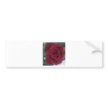 Red rose water drop bumper stickers