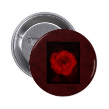 Red Rose. With Black and Deep Red. Buttons