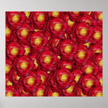 Red roses poster