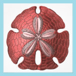 Red Sand Dollar Invitation invitations