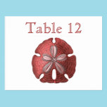Red Sand Dollar Reception Table Numbers postcards