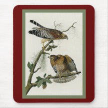 Red-Shouldered Hawk Mouse Pad
