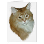 Red Tabby Maine Coon Cards