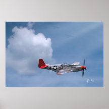 Red Tails By Request Print