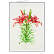 Red Tiger watercolor art greeting card