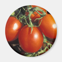 Red Tomatoes Refrigerator Magnet
