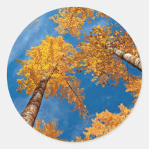 Red Trees Sticker