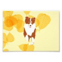 Red Tri running Aussie on Gold Leaves Photo