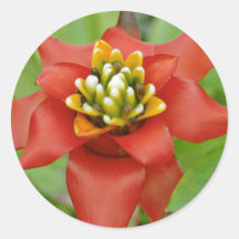 Red Tropical Flower With Yellow Centre flowers Round Sticker