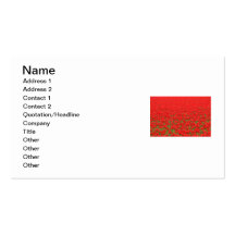 Red Tulip Field Business Card Templates