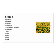 Red Tulip in a Yellow Tulip Field Business Card Template