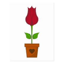 Red Tulip Postcard
