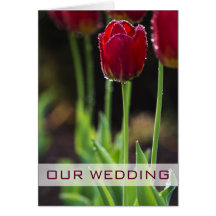 Red Tulip Wedding Invitation Greeting Cards