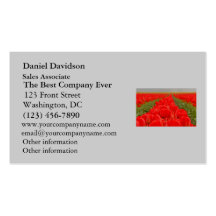 Red Tulips Field Photo Business Card