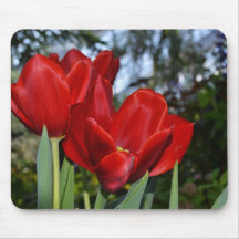 Red Tulips Mousepads