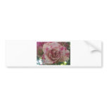Red white rose bumper stickers