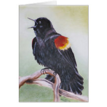 Red-winged blackbird card