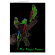 Red-Winged Parrots card