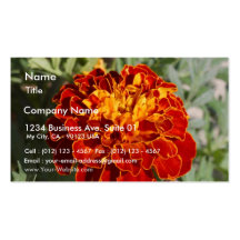 Red Yellow Beautiful Flowers Business Card Template