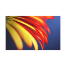 Red Yellow Gerbera Stretched Canvas Print