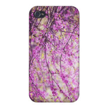 Redbud Tree iPhone 4/4S Covers