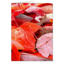 Reds Greeting Card