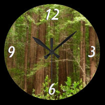 Redwood Trees Wall Clock wall clocks