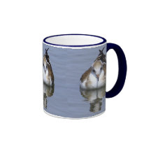 Reflected Gull Mug