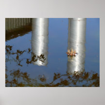 reflected pipes print
