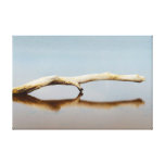 Reflection in the water stretched canvas print