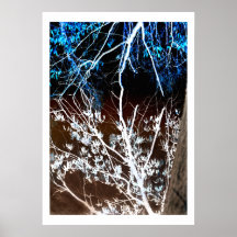 Reflections Artistic Tree Photo Over Water Poster