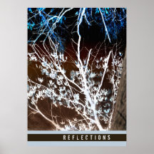 Reflections Artistic Tree Photo Over Water Poster