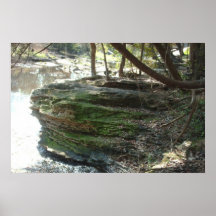 Reflections in nature print