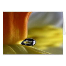 Reflexion Greeting Card