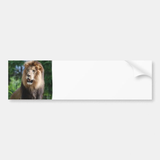 Regal Lion Bumper Sticker