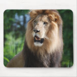 Regal Lion Mouse Pad