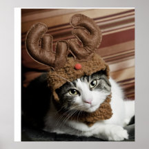 Reincat Print