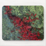 Reindeer lichen and blueberry leaves, Quebec, Cana Mousepads