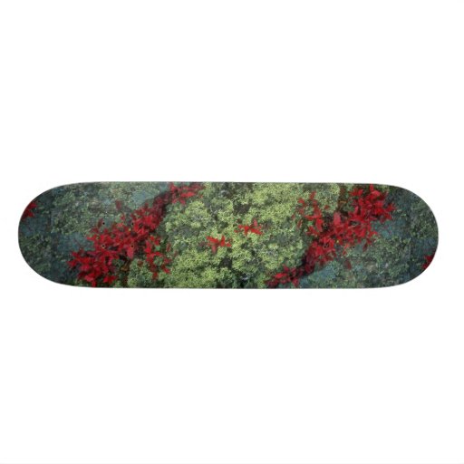 Reindeer lichen and blueberry leaves, Quebec, Cana Skate Decks