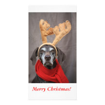 Reindeer Pointer Photo Greeting Card