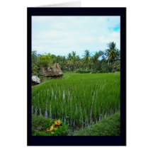 Religious Offering, Ubud Bali Greeting Card