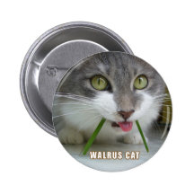 Rema Button 009